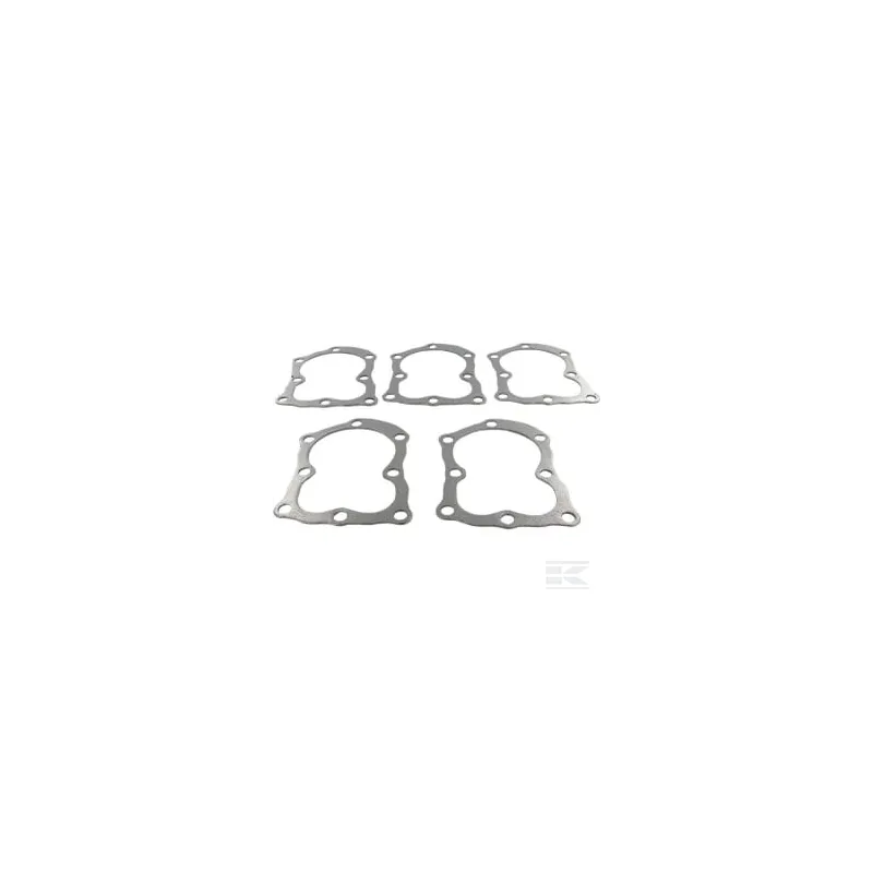 Joint de culasse 5 X 272157S