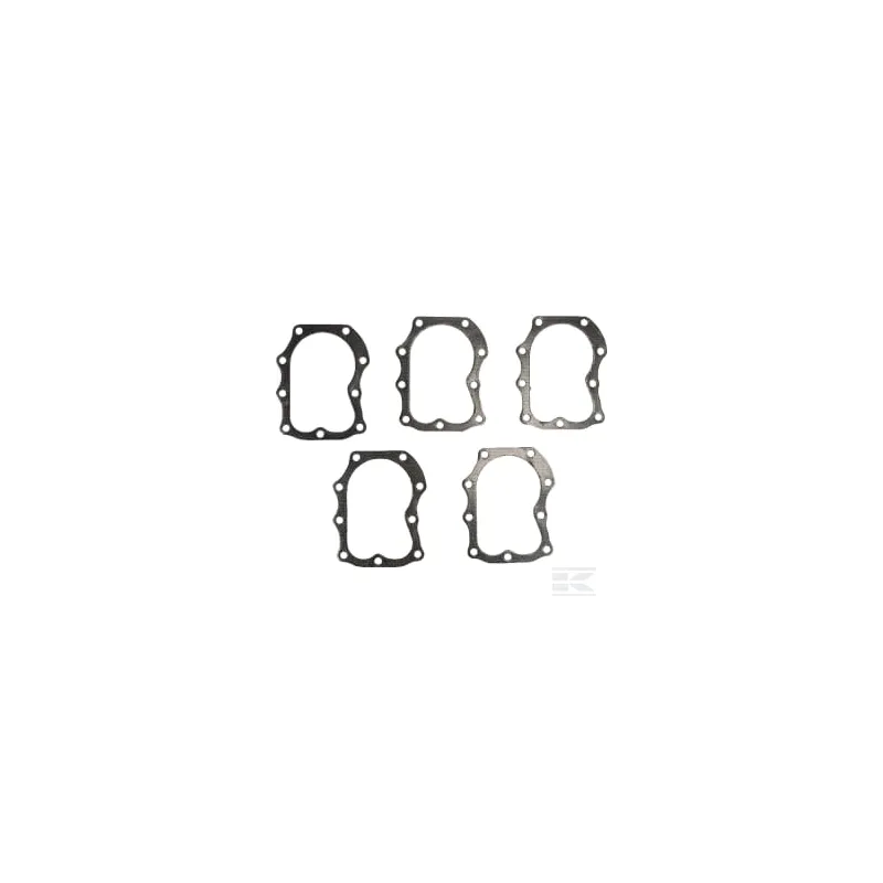 Joint de culasse 5 X 272163S