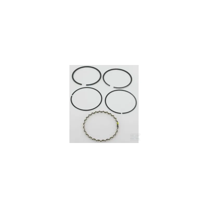 Segments standard