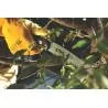 Scie d'élagage, PR 27 C - 27 cm - 358 g - branches Ø 120 mm STIHL