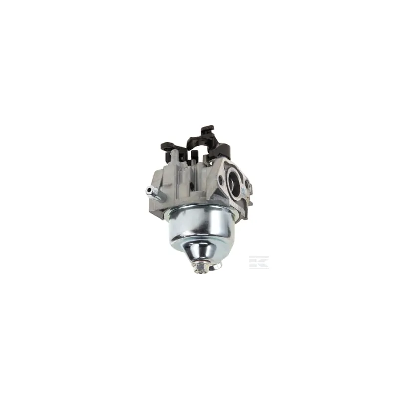 Carburateur QSS 125