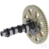 Combinaison d'arbre à cames