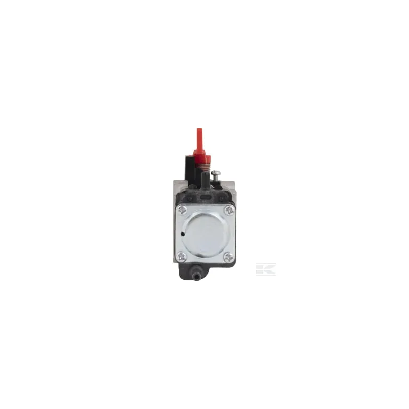 Carburateur Walbro
