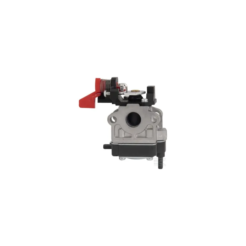 Carburateur Walbro