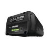 Batterie AP 300.0 P