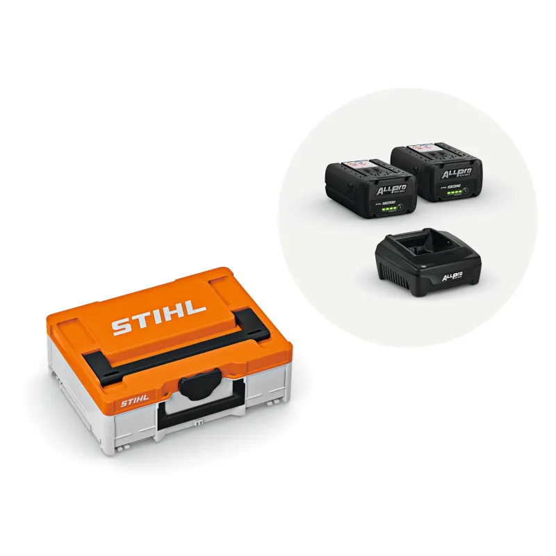 Power Box 1 – 2 batteries AP 200 P, chargeur AL 301 et mallette
