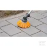 Brosse à désherber sensible 165 x 25,4 mm en PBT