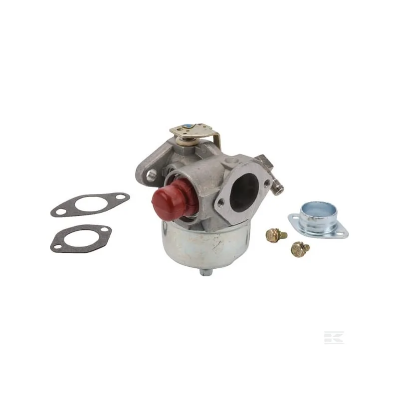 Carburateur pour Tecumseh