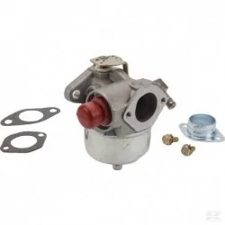 Carburateur pour Tecumseh