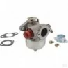 Carburateur pour Tecumseh