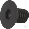 Vis M8x10