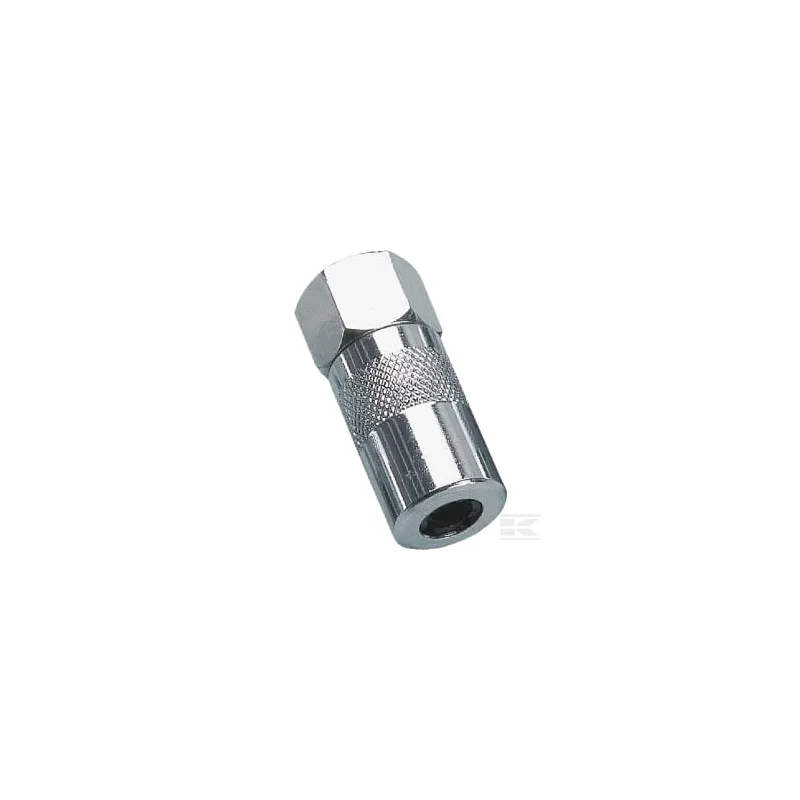 Embout pompe à graisse 1/8"BSP