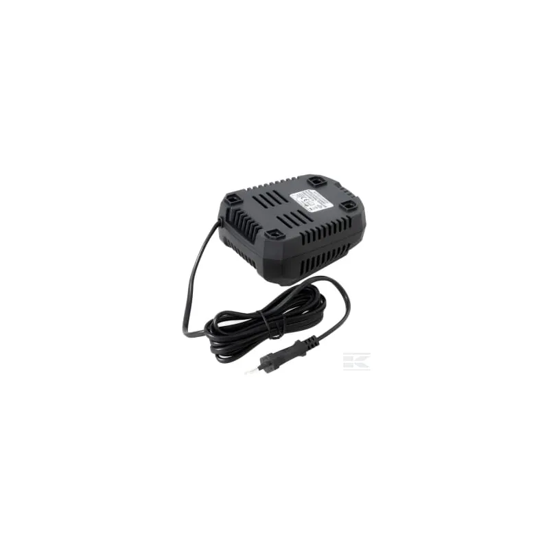 Chargeur 20V prise UE