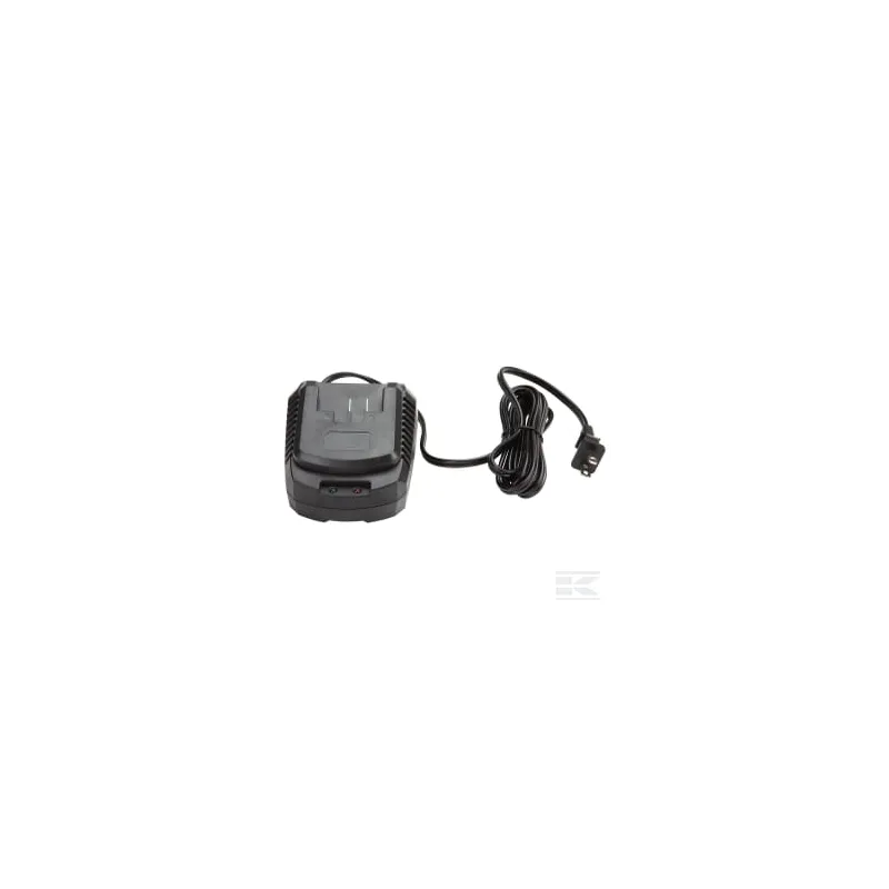 Chargeur 20V prise UE