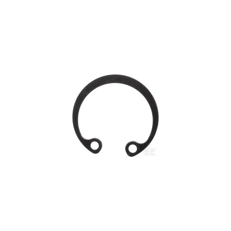 Circlip 21 mm int.