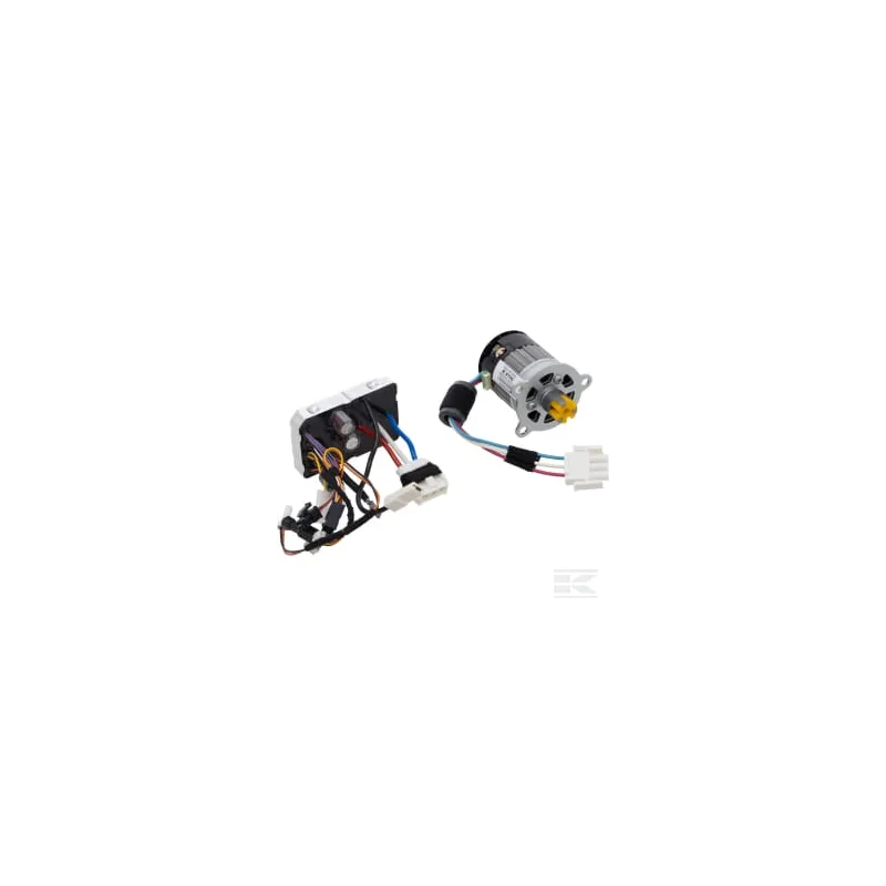Moteur électrique avec module électronique