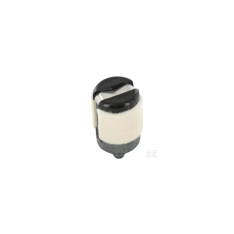 Filtre à essence