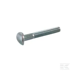 Vis M8x55-5.6
