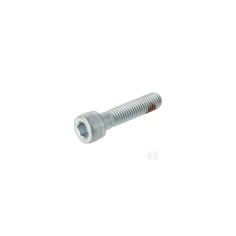 Vis M10X45 12.9