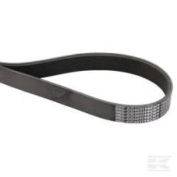 Courroie trapézoïdale Poly-V