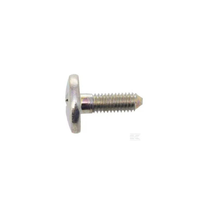 Vis M6X14