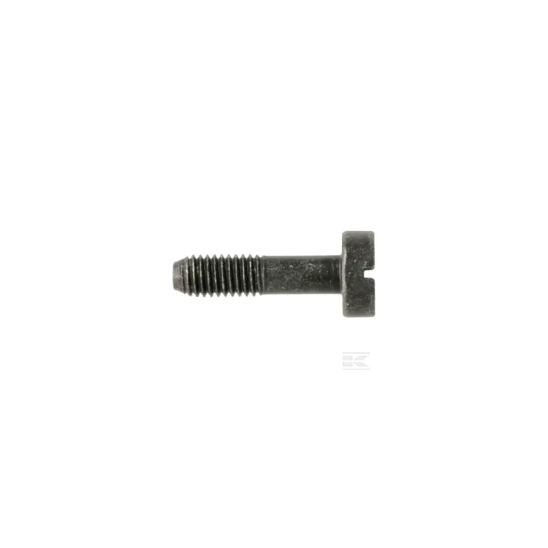 Vis CITXPANMO M5X19 10.9
