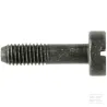 Vis CITXPANMO M5X19 10.9