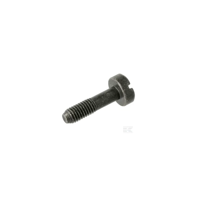 Vis CITXPANMO M5X19 10.9