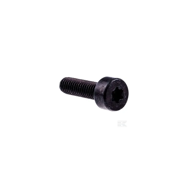 Vis M6x20 10.9