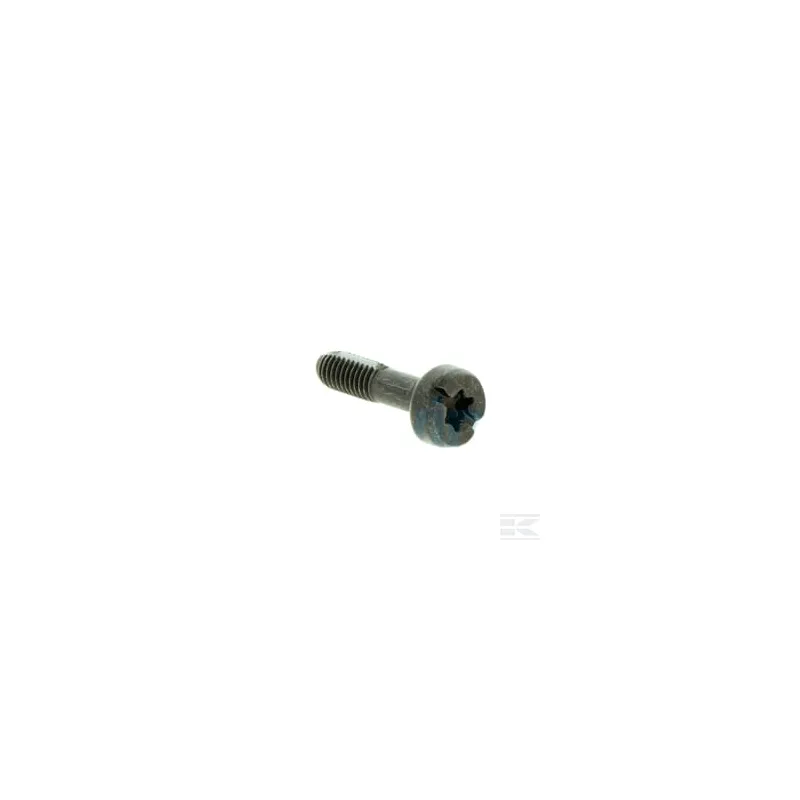 Vis M5x19 10.9