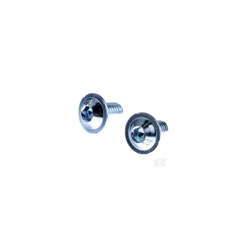 Vis M6x10 10.9