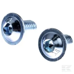 Vis M6x10 10.9