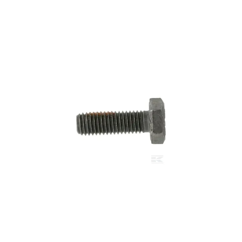 Vis EHHM M10X30 12.9