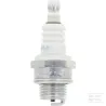 Bougie