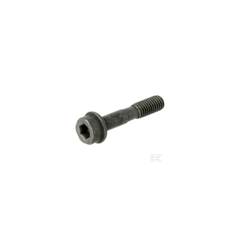 Vis IHSCFMO M5X25 10.9