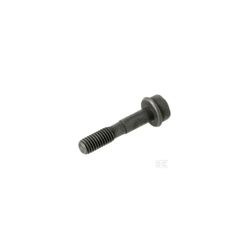 Vis IHSCFMO M5X25 10.9
