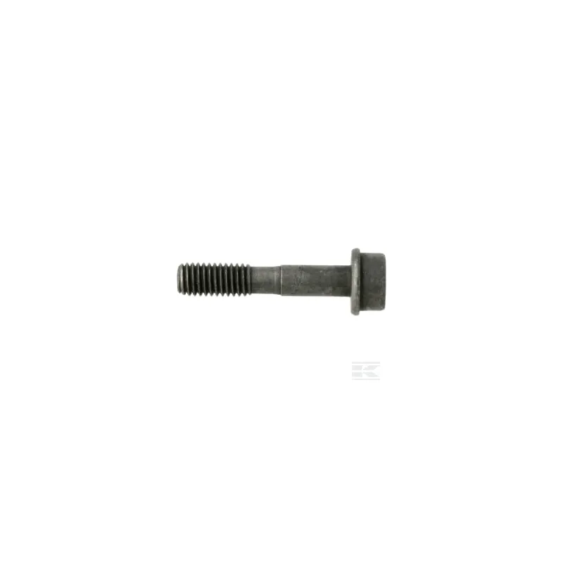 Vis IHSCFMO M5X25 10.9