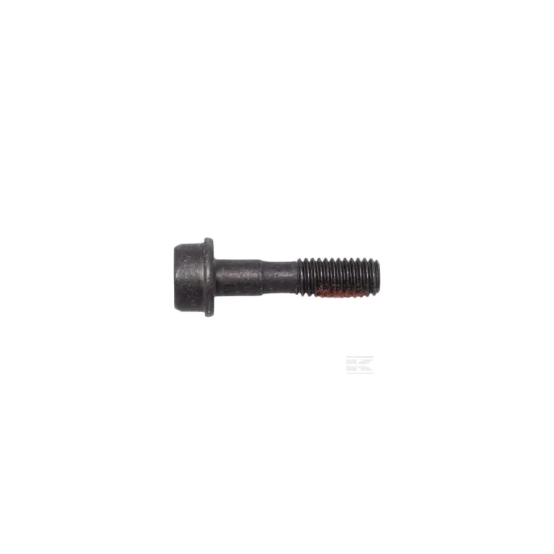 Vis IHSCFMO M5X20 10.9