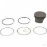 Piston std.