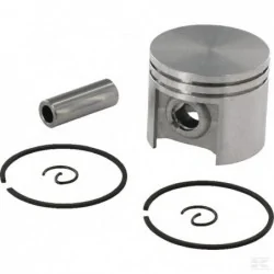 Piston Complet