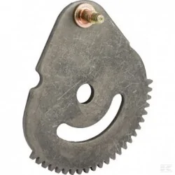 Segment denté