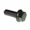 Boulon M10x1x30 mm