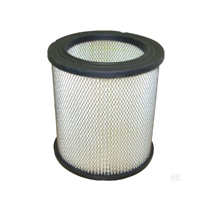 Filtre à air p/Tecumseh