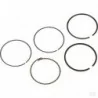 Kit de segments