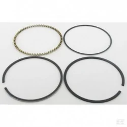 Segments standard