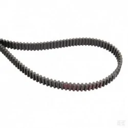 Courroie dentée de coupe Baron