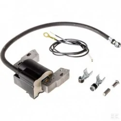 Bobine d'allumage B&S