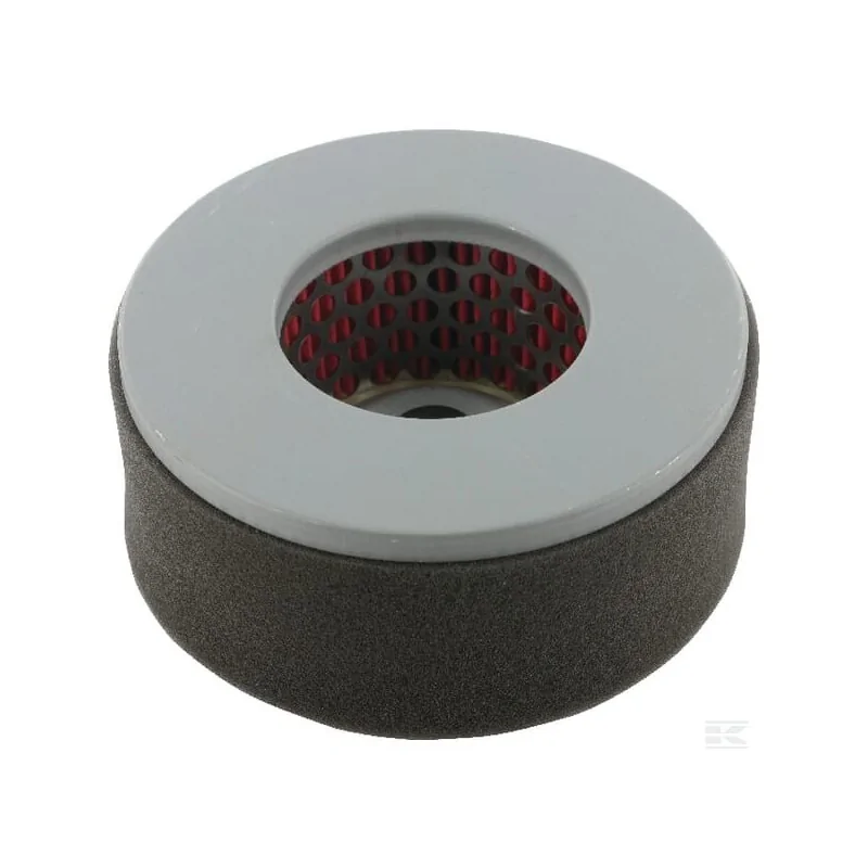 Filtre air Yanmar 114250-12580