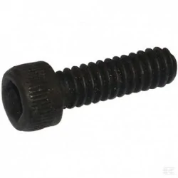Vis p/ Walker 10-24 - 5/8"