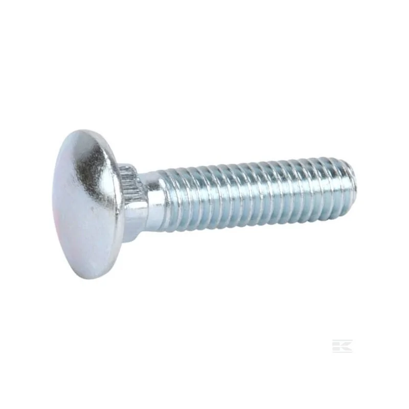 Vis à tête bombée M6x35